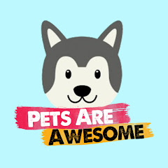 Pets Are Awesome Avatar