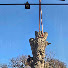 7dErvLs_zys-channel-avatar-MLL