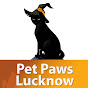 Pet Paws Lucknow logo