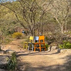 Daintreee Mitch channel thumbnail