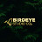 BirdEye Studios Co.