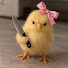 _KIA_NIRhIc-channel-avatar-Chicken99