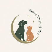 More Than A Pet