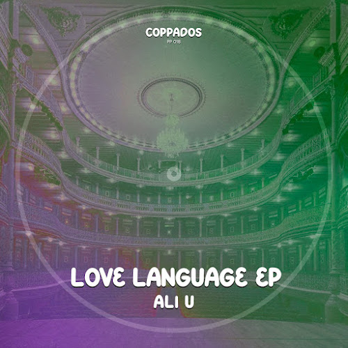 Ali U - 101 Jams Guest Mix 001 2026-01-29