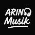 nx-WI1OrzLQ-channel-avatar-ARIN Musik