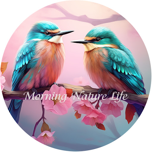 Morning Nature Life