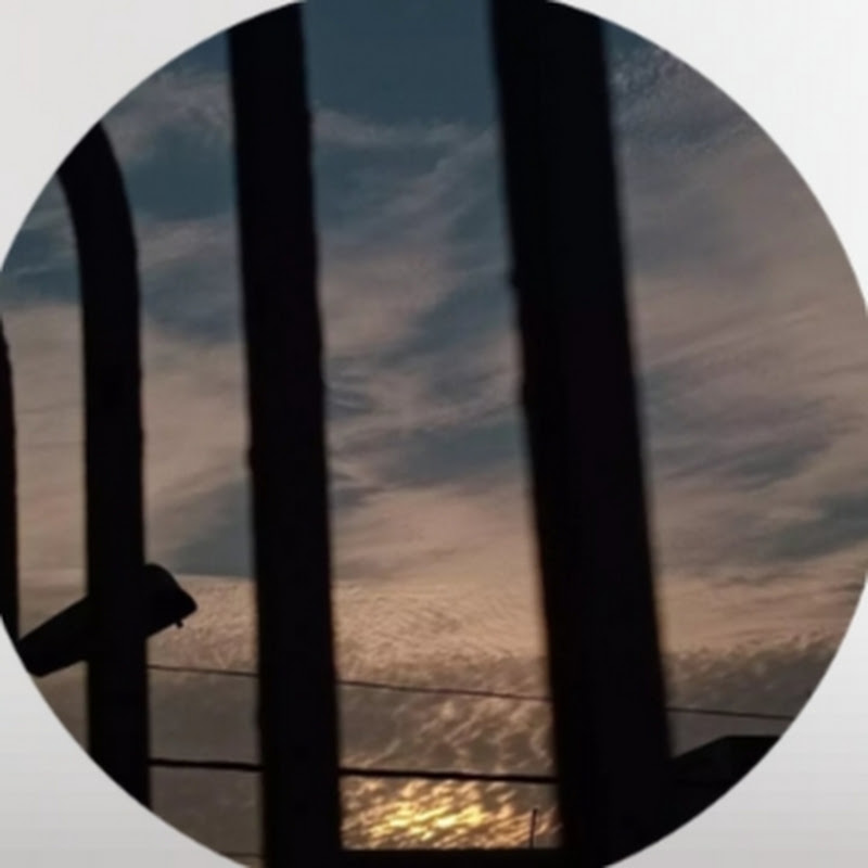 Naqi_ali14
