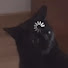 XFMUVHrGZOc-channel-avatar-Loading