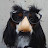 @PutPup Avatar