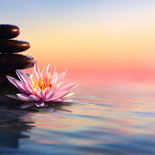 Tranquility Vibes