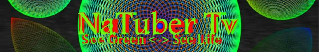 NaTuber Tv YouTube channel avatar
