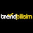 @trendbilisim