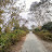 @Ujjal-Das