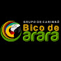 Grupo de Carimbó Bico de Arara logo