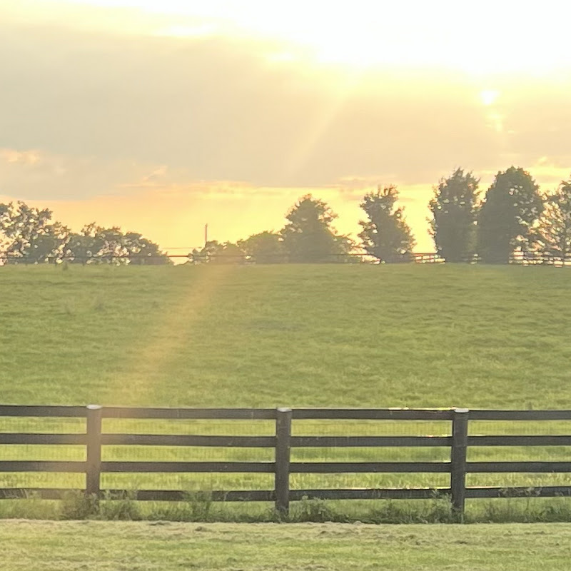 Chasing The Light