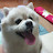 @신하연-z3b