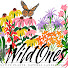 dogBOyazsaE-channel-avatar-Wild Ones Root River Chapter