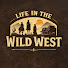 joZ_fC47kyo-channel-avatar-Life in the Wild West