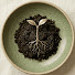 J3W91YudFRE-channel-avatar-THE ROOTED LIFE