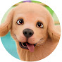 IshKids Baby Songs Image Thumbnail