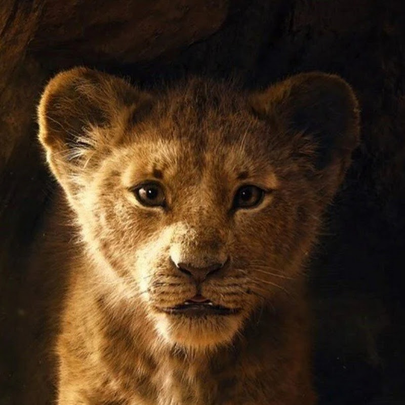 Aslan Parçası