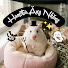 lXxNITJ8HaM-channel-avatar-Hamster Ăng Nhăng