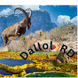 Dallol_2RD logo