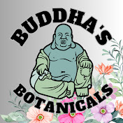 Buddhas Botanicals 