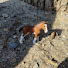 bDxeo8iyUio-channel-avatar-Kht ponylife