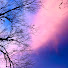 A1-tEUQfuWM-channel-avatar-Uveal