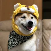 柴犬 福 -shibainu Fuku -
