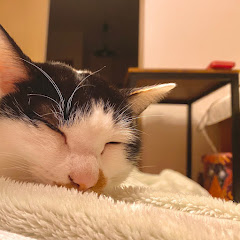 まりも