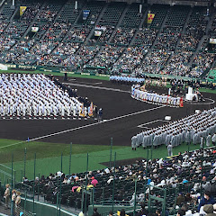 野球ちゃんねる