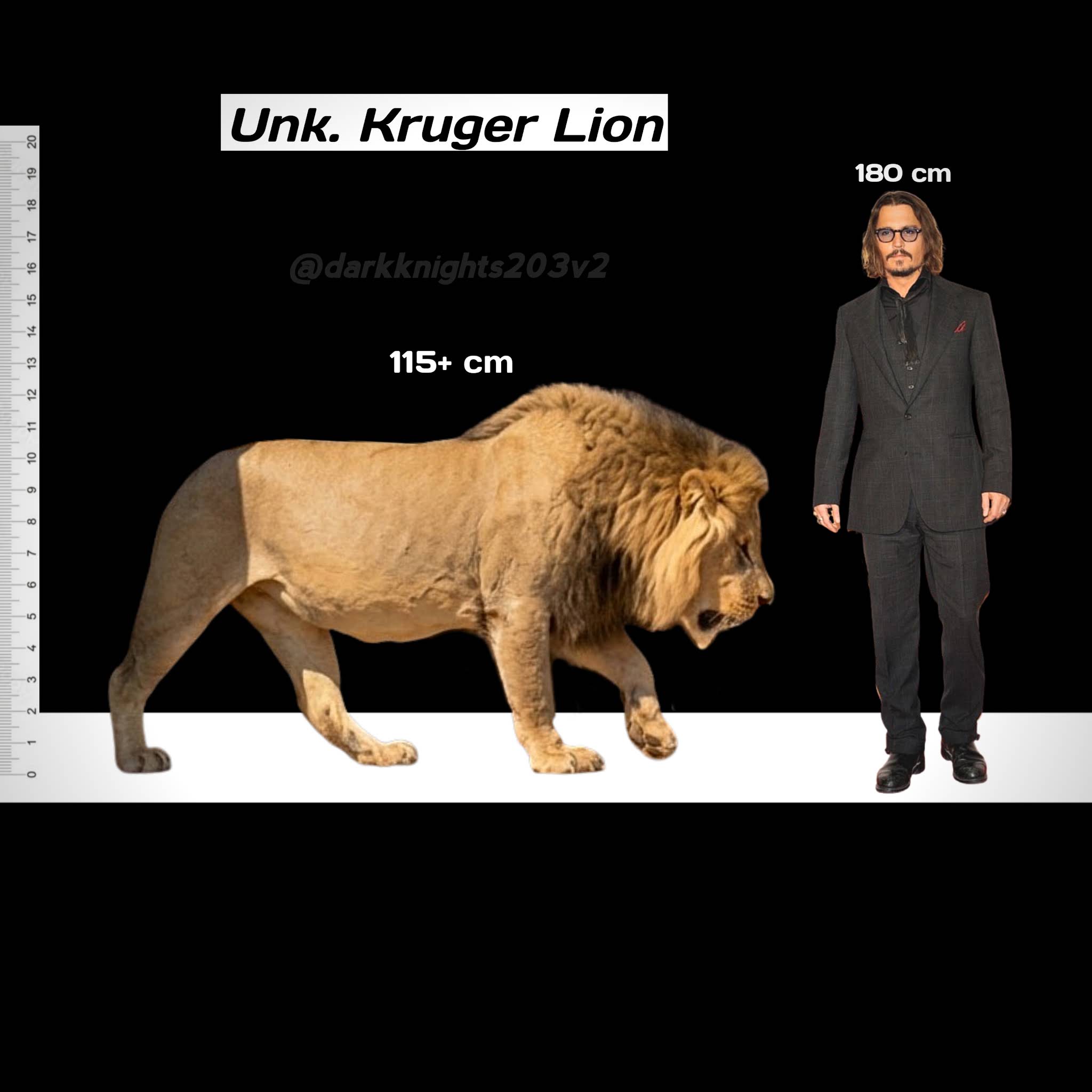 Lionページ YouTube