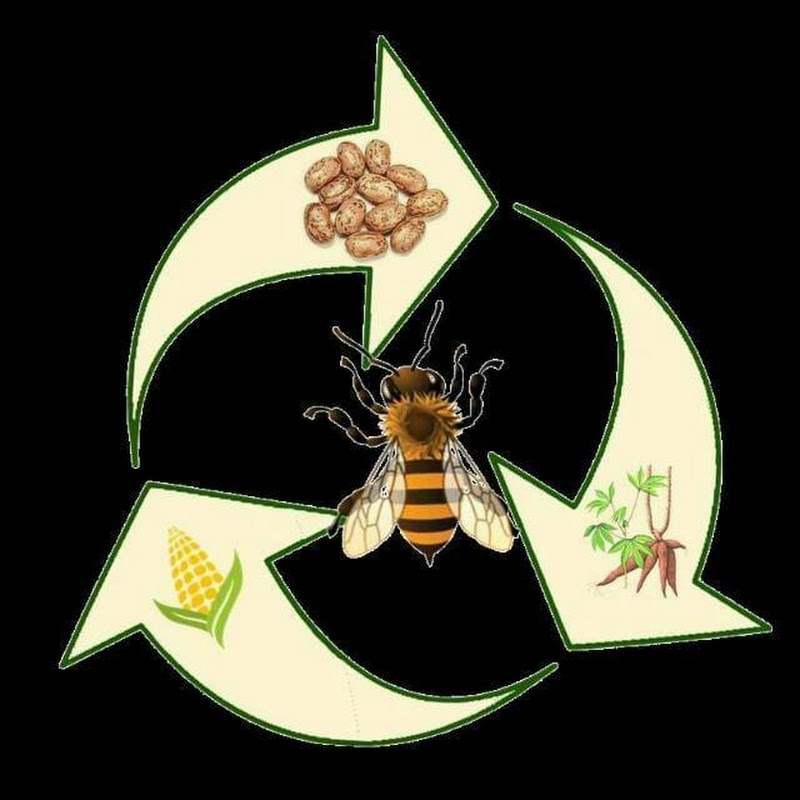 Seed Savers Network Kenya