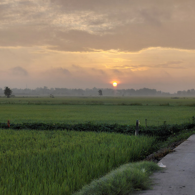 Đặc Sản Đồng Quê 66