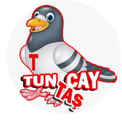 TUNCAY TÜNTAŞ 