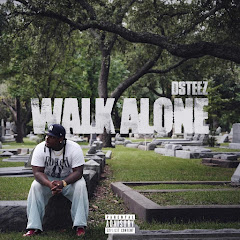 Dsteez