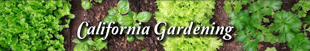 California Gardening Awatar kanału YouTube