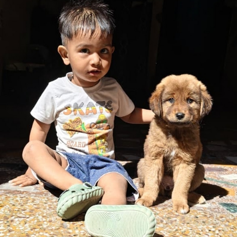 Chirag's family vlog