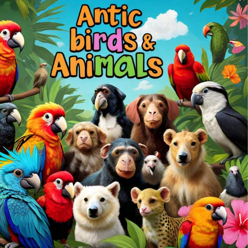 Antic Birds & Animals A.K.H