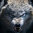 @dirtydeeds66 Avatar