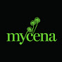 Mycena Media logo