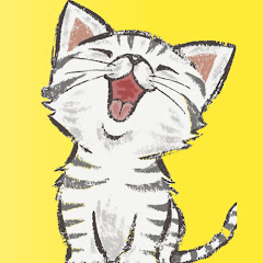 Funny cat and animals