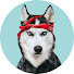 tVnbMc-87Wk-channel-avatar-North Yuki Husky