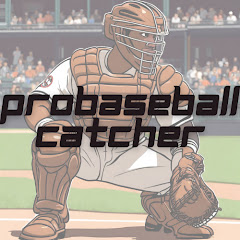 Pro Baseball Catcher