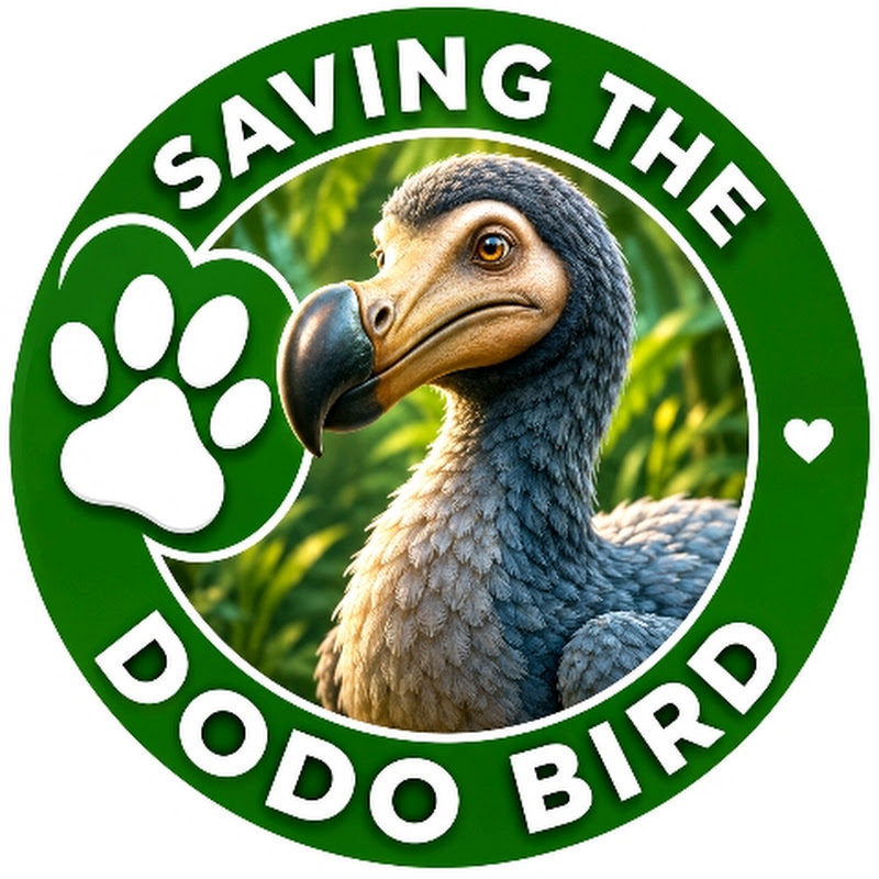 Dodo Cuet