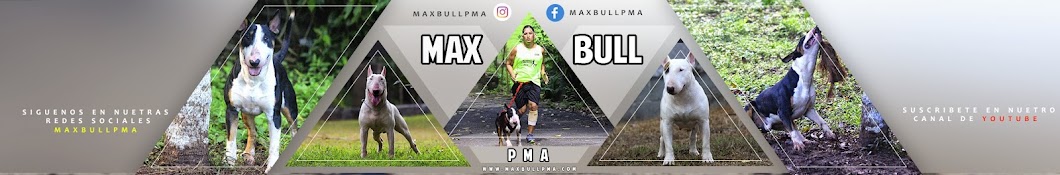 MAXBULLPMA YouTube 频道头像