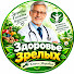 m9S61vvHFsQ-channel-avatar-Здоровье Зрелых