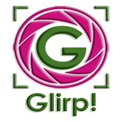 Proyecto GLIRP